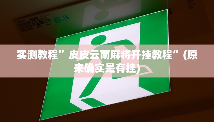 实测教程”皮皮云南麻将开挂教程”(原来确实是有挂)