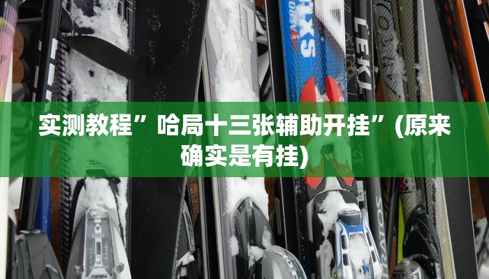 实测教程”哈局十三张辅助开挂”(原来确实是有挂)