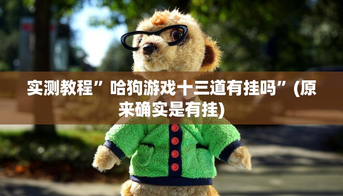 实测教程”哈狗游戏十三道有挂吗”(原来确实是有挂)