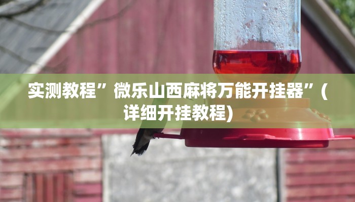 实测教程”微乐山西麻将万能开挂器”(详细开挂教程)