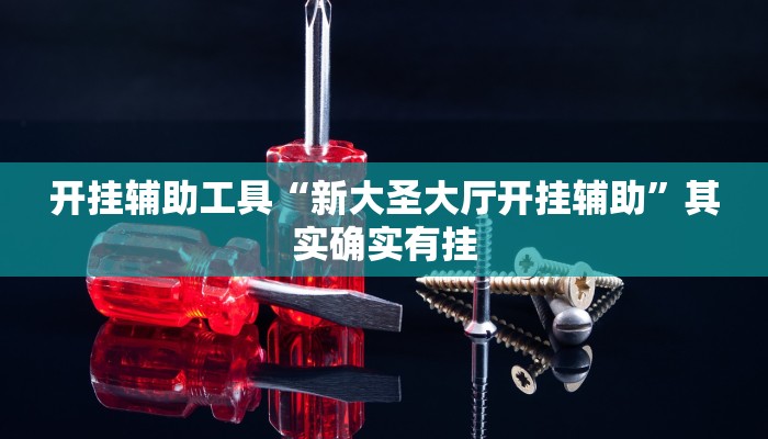 开挂辅助工具“新大圣大厅开挂辅助”其实确实有挂