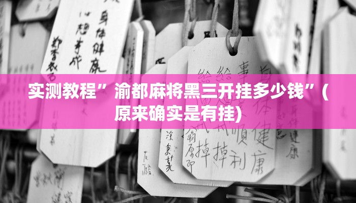 实测教程”功夫川麻挂先试用后付款”(原来确实是有挂)