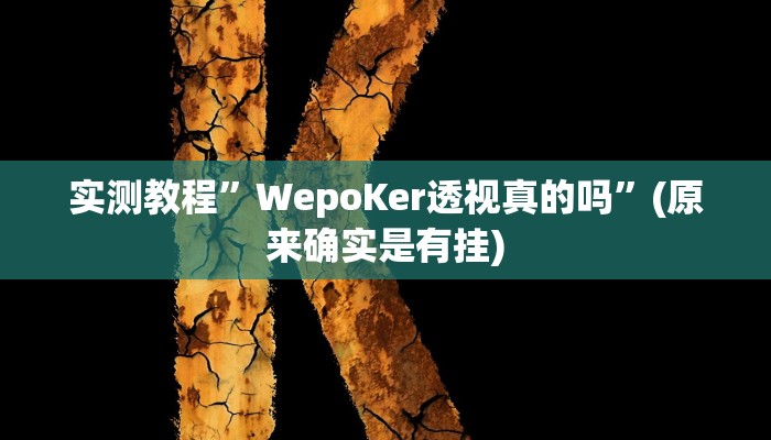 实测教程”WepoKer透视真的吗”(原来确实是有挂)