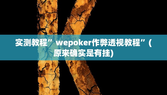 实测教程”wepoker作弊透视教程”(原来确实是有挂)