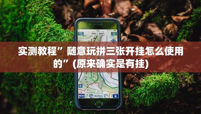 实测教程”随意玩拼三张开挂怎么使用的”(原来确实是有挂)