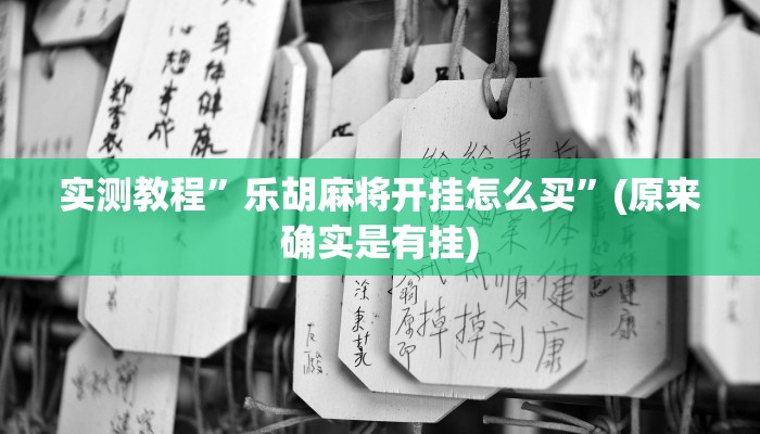 实测教程”乐胡麻将开挂怎么买”(原来确实是有挂)