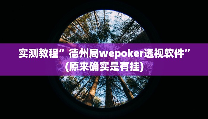 实测教程”德州局wepoker透视软件”(原来确实是有挂)