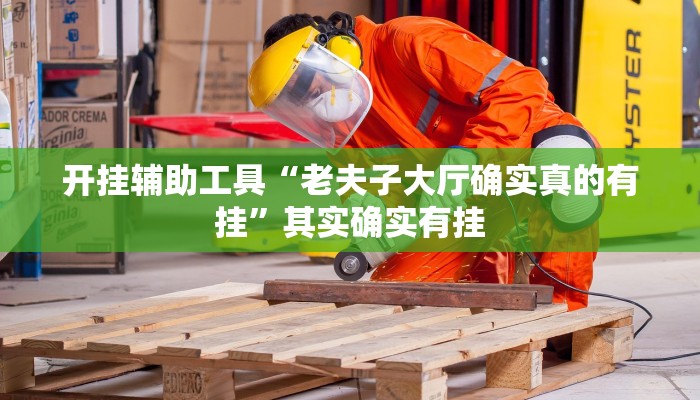 开挂辅助工具“老夫子大厅确实真的有挂”其实确实有挂
