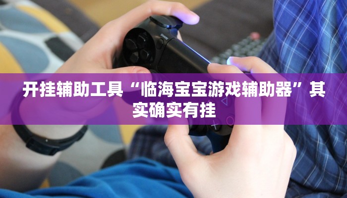 开挂辅助工具“临海宝宝游戏辅助器”其实确实有挂
