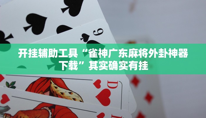 开挂辅助工具“雀神广东麻将外卦神器下载”其实确实有挂