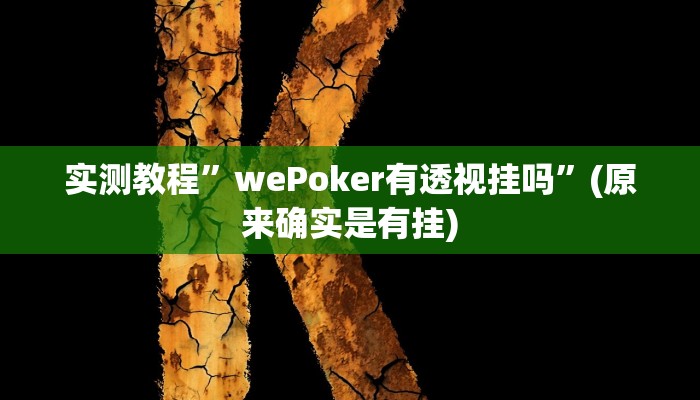 实测教程”wePoker有透视挂吗”(原来确实是有挂)