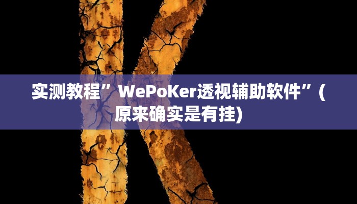 实测教程”WePoKer透视辅助软件”(原来确实是有挂)