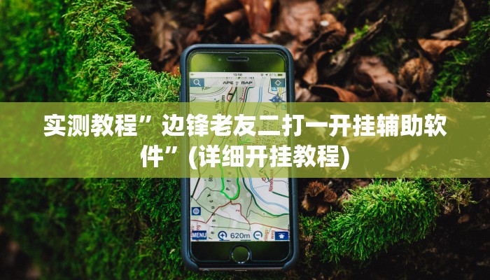 实测教程”边锋老友二打一开挂辅助软件”(详细开挂教程)