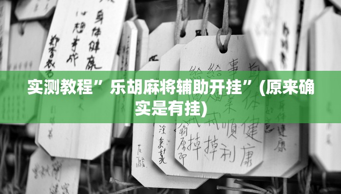 实测教程”乐胡麻将辅助开挂”(原来确实是有挂)