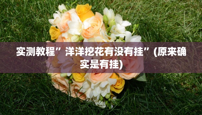 实测教程”洋洋挖花有没有挂”(原来确实是有挂)