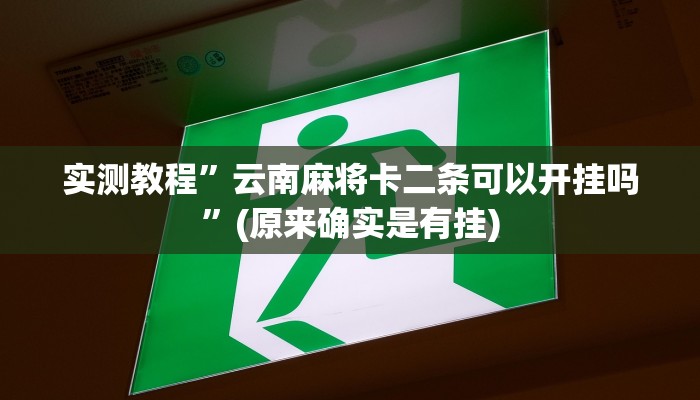 实测教程”云南麻将卡二条可以开挂吗”(原来确实是有挂)