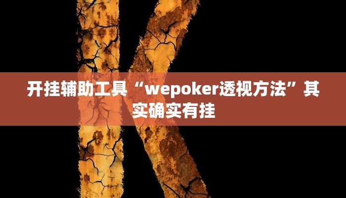 开挂辅助工具“wepoker透视方法”其实确实有挂