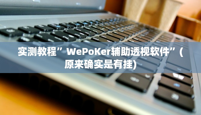 实测教程”WePoKer辅助透视软件”(原来确实是有挂)